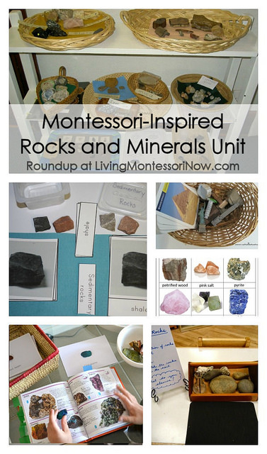 Montessori-Inspired Unit Studies + Seasonal and Holiday Activities - Living  Montessori Now