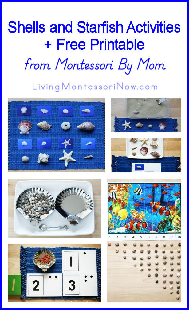 Shells and Starfish Activities + Free Printable from Montessori By Mom