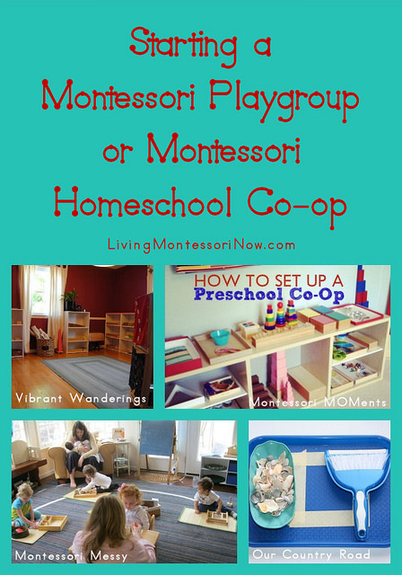 Starting a Montessori Playgroup or Montessori Homeschool Co-op