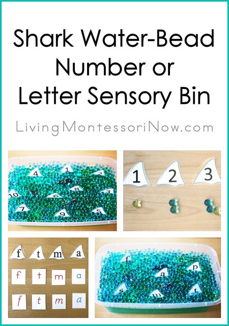 Shark Water-Bead Number or Letter Sensory Bin