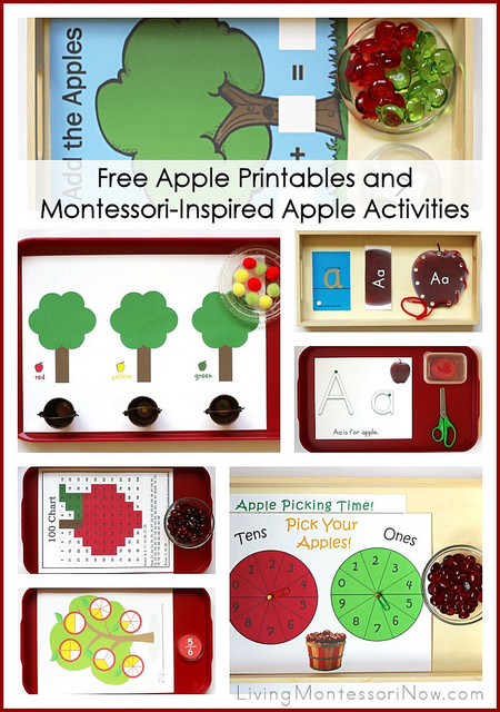 Free Apple Printables and Montessori-Inspired Apple Activities