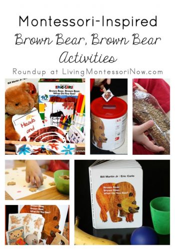 Montessori-Inspired Brown Bear, Brown Bear Activities