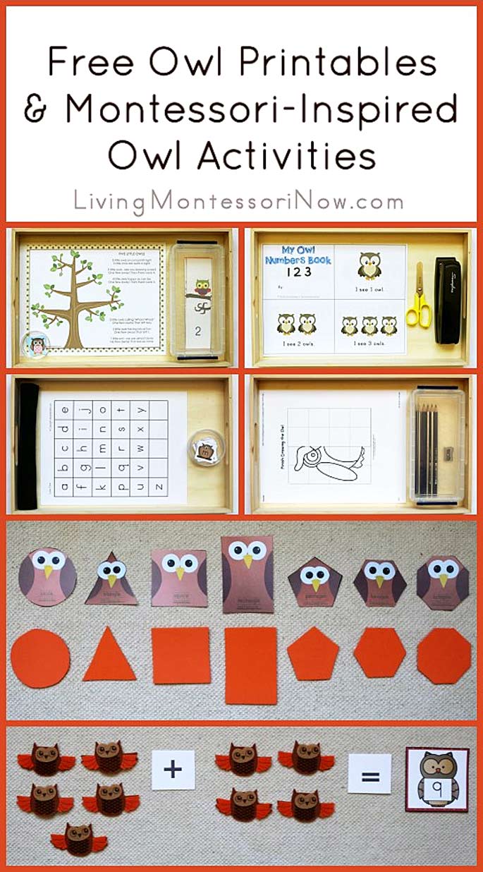 Free Owl Printables and Montessori-Inspired Owl Activities