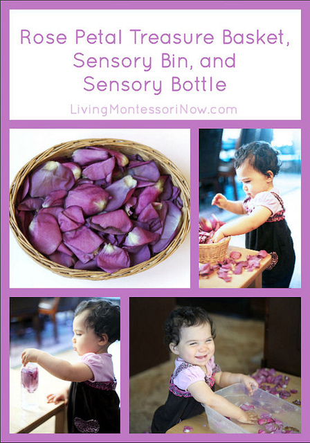 Rose Petal Treasure Basket, Sensory Bin, and Sensory Bottle