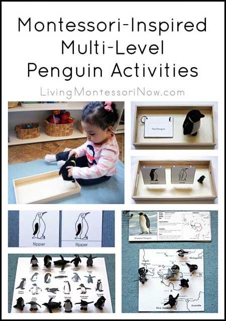 Montessori-Inspired Multi-Level Penguin Activities
