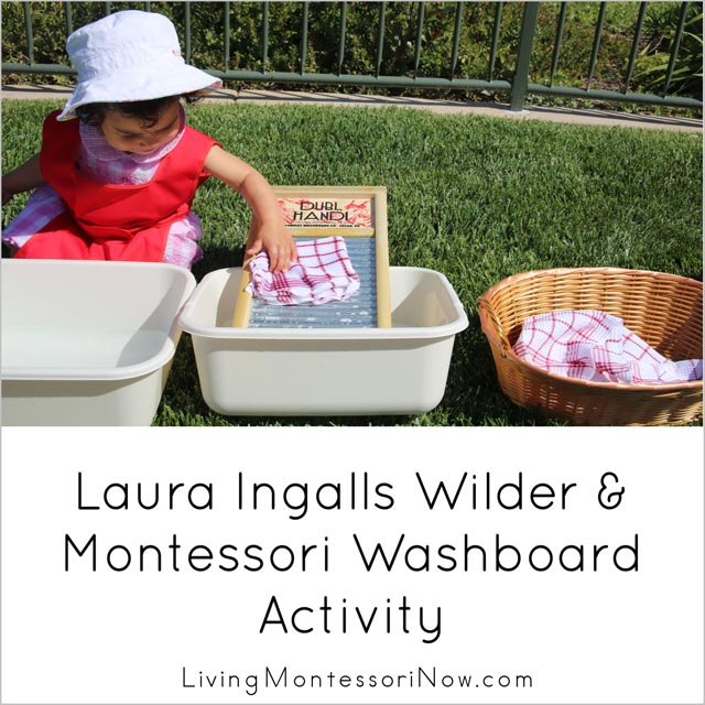 Washboard (scrub board) - Montessori Services