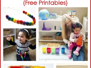 Montessori-Inspired Color Activities for Toddlers {Free Printables}