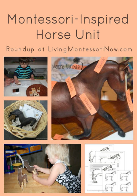 free printables and unit studies about horses