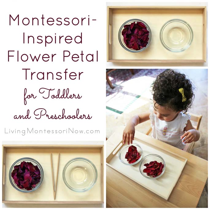 Montessori-Inspired After Mother's Day Flower Petal Transfer for Toddlers and Preschoolers