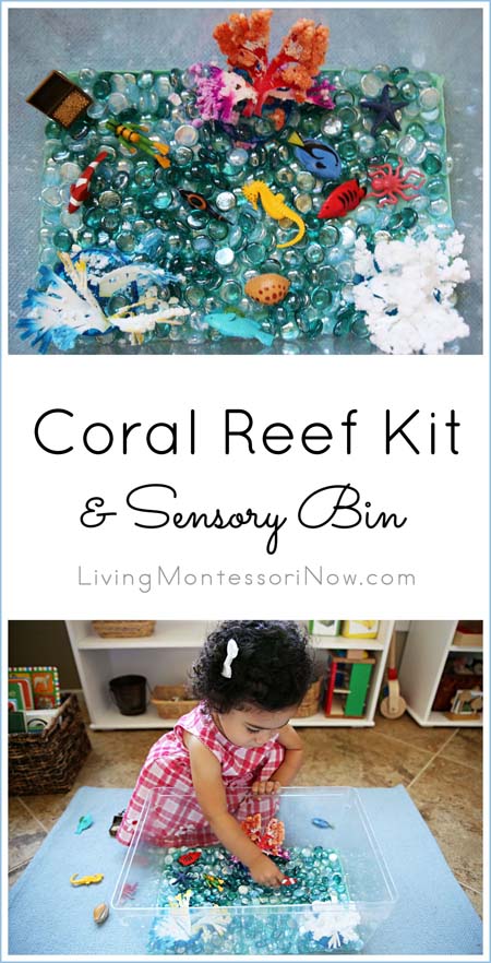 Create+Play: Coral Reef Crystal Growing Kit | Little Passports