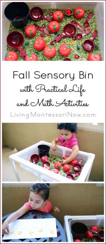 Fall Sensory Bin with Practical Life and Math Activities