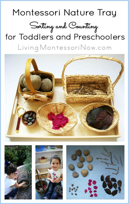 Fall Sensory Trays for Little Kids  Montessori toddler activities, Montessori  trays, Montessori