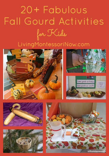 20+ Fabulous Fall Gourd Activities for Kids