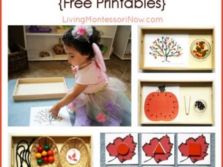 Montessori-Inspired Fall Activities with Spielgaben {Free Printables}