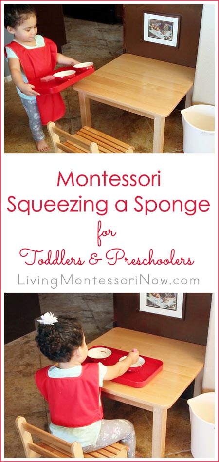 Montessori Squeezing a Sponge Activity for Toddlers and Preschoolers