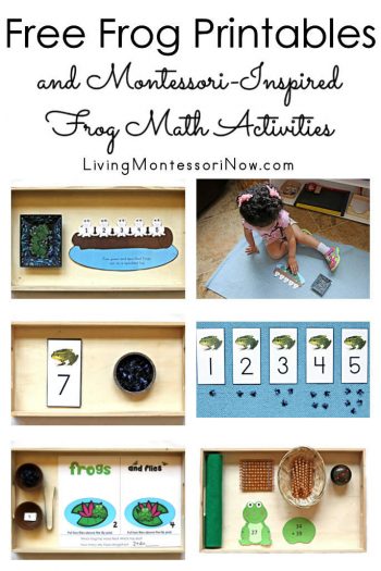 Free Frog Printables and Montessori-Inspired Frog Math Activities