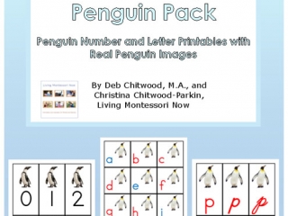 Montessori-Inspired Penguin Pack