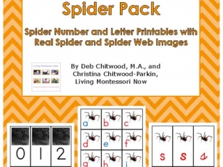 Montessori-Inspired Spider Pack