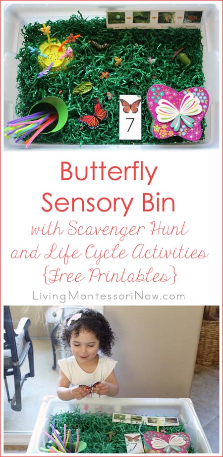 Butterfly Sensory Bin with Scavenger Hunt and Life Cycle Activities {Free Printables}