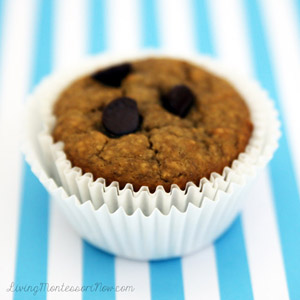 Quick and Delicious Flourless Peanut Butter Chocolate Chip Muffins