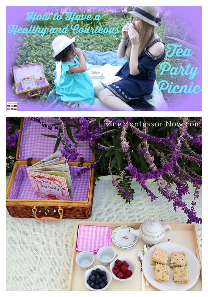 How to Have a Healthy and Courteous Tea Party Picnic