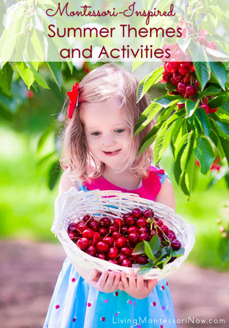 top-10-summer-themes-for-preschoolers