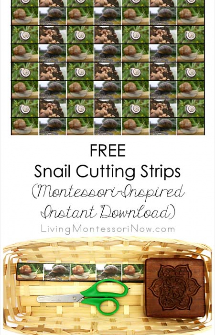 Free Snail Cutting Strips (Montessori-Inspired Instant Download)