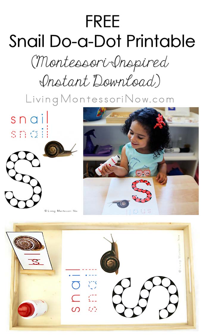 FREE Snail Do-a-Dot Printable (Montessori-Inspired Instant Download) FREE Snail Do-a-Dot Printable (Montessori-Inspired Instant Download)