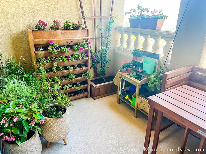 Our Balcony Garden in 2023 Our Balcony Garden in 2023