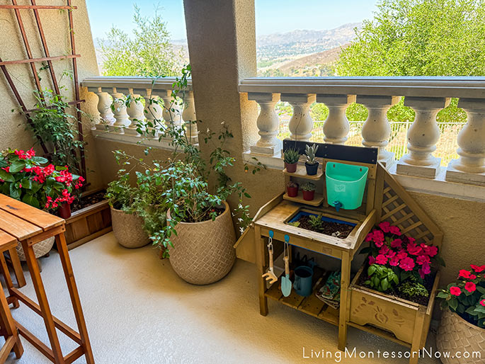 Our Balcony Garden in 2025 Our Balcony Garden in 2025