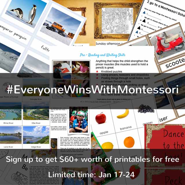 Everyone Wins with Montessori Giveaway - Limited Time