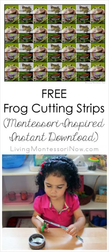 Free Frog Cutting Strips (Montessori-Inspired Instant Download)