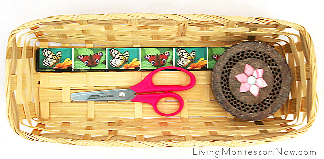 Basket with Butterfly Cutting Strips