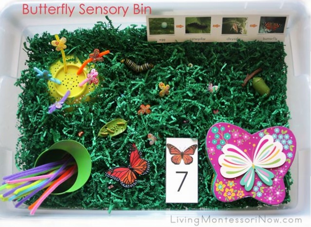 No Box Discovery Kit for Sensory Play Butterfly Garden 