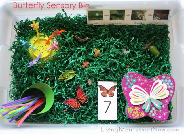 Butterfly Sensory Bin with Scavenger Hunt and Life Cycle Activities {Free  Printables} - Living Montessori Now