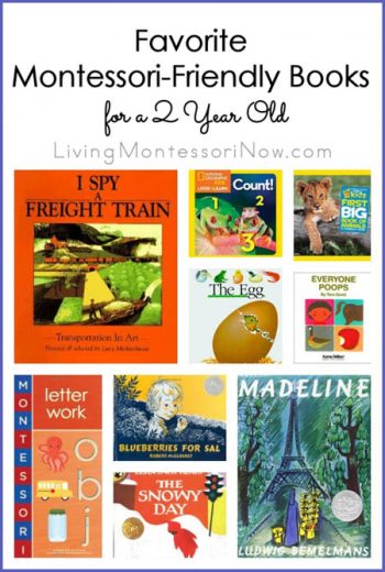 Favorite Montessori-Friendly Books for a 2 Year Old