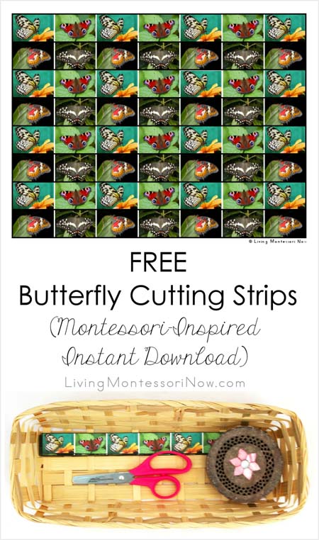 Free Butterfly Cutting Strips (Montessori-Inspired Instant Download)