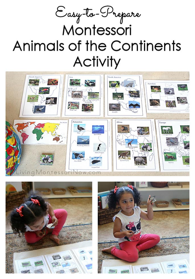 Easy-to-Prepare Montessori Animals of the Continents Activity