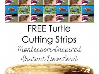 FREE Turtle Cutting Strips (Montessori-Inspired Instant Download)
