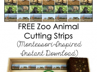 FREE Zoo Animal Cutting Strips (Montessori-Inspired Instant Download)
