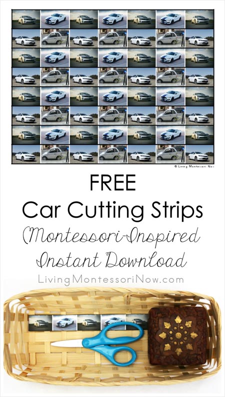 Free Car Cutting Strips (Montessori-Inspired Instant Download)