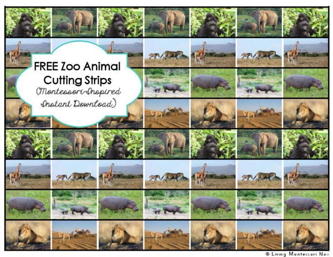 Free Zoo Animal Cutting Strips (Montessori-Inspired Instant Download)