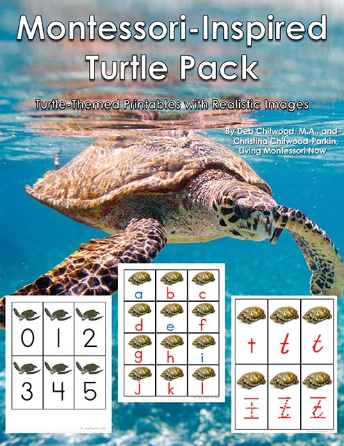 Montessori-Inspired Turtle Pack