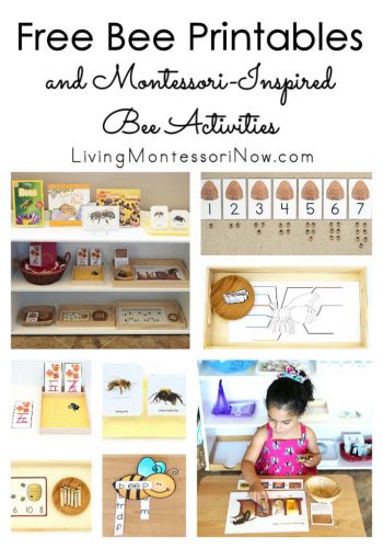 Free Bee Printables and Montessori-Inspired Bee Activities