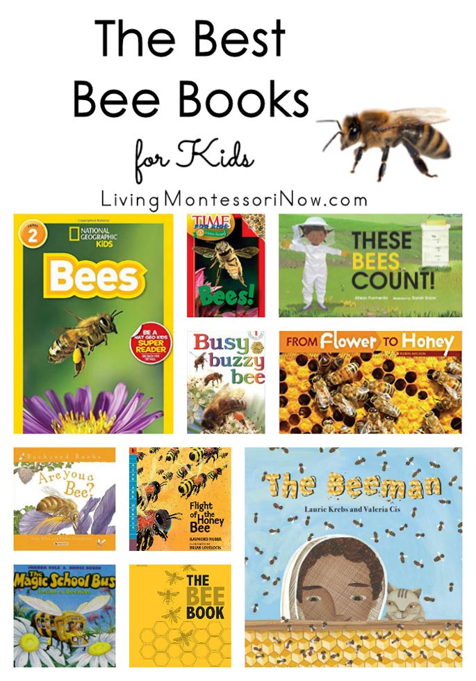 Download The Best Bee Books For Kids Living Montessori Now