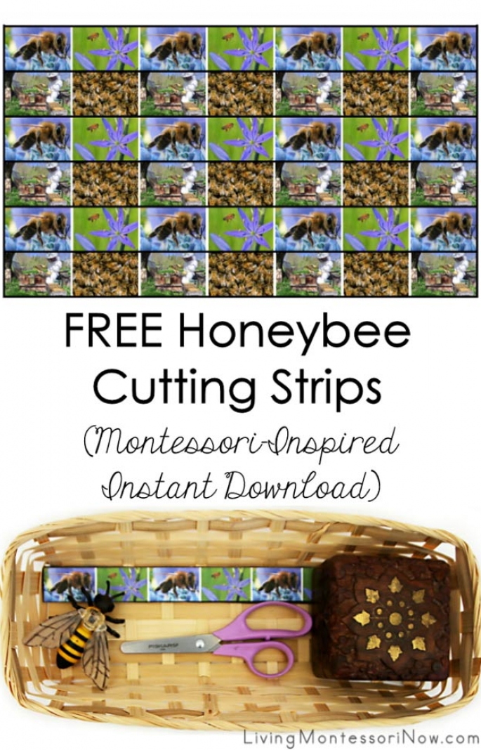 FREE Honeybee Cutting Strips (Montessori-Inspired Instant Download)