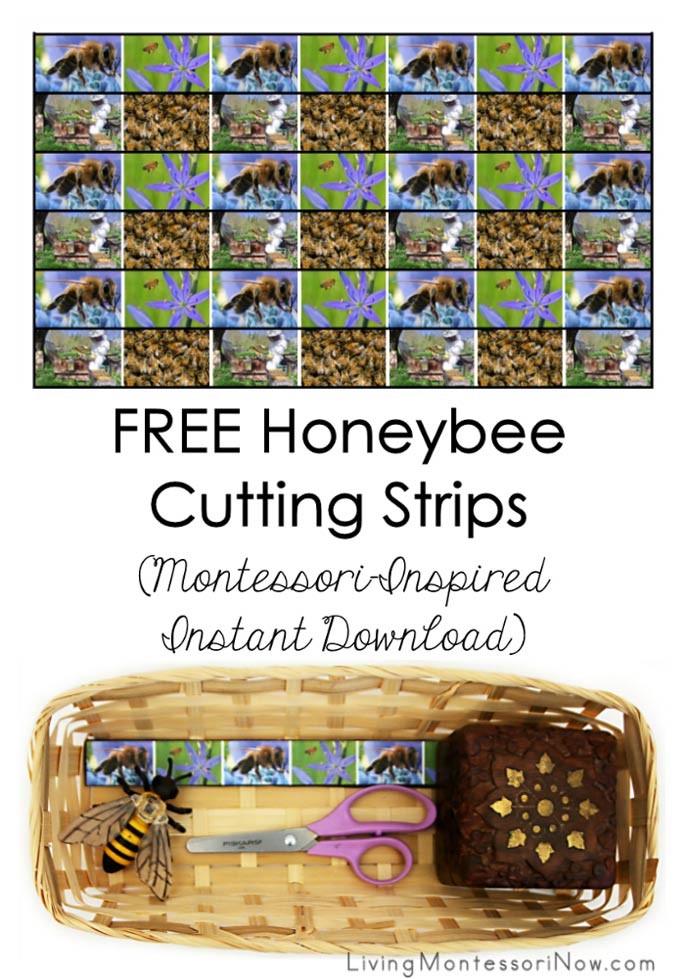 Free Honeybee Cutting Strips (Montessori-Inspired Instant Download)