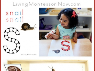 FREE Snail Do-a-Dot Printable (Montessori-Inspired Instant Download)