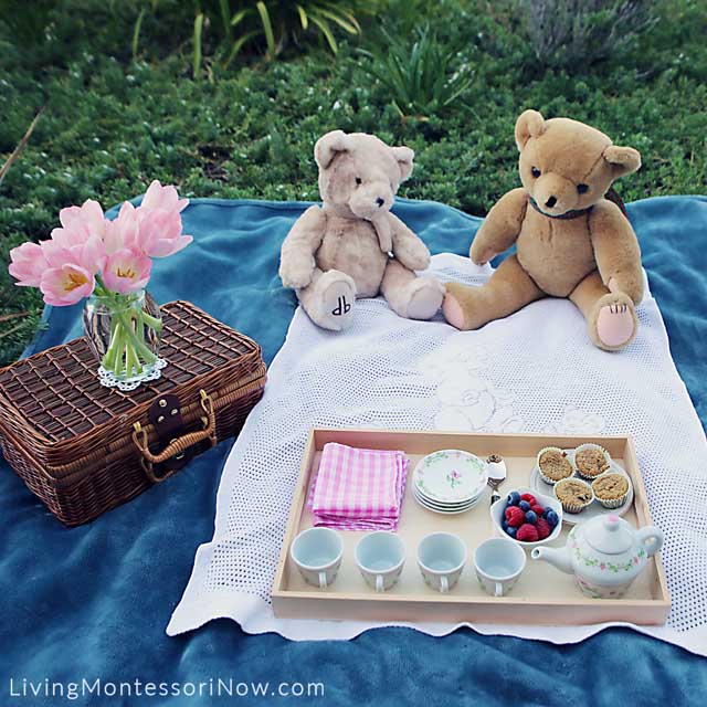 Items Used for a Healthy and Courteous Teddy Bear Picnic