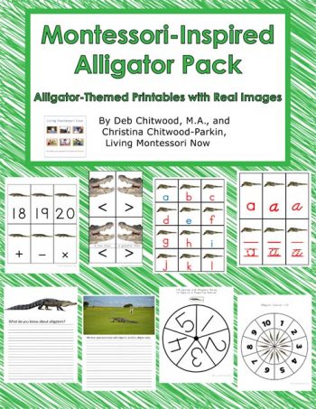 Montessori-Inspired Alligator Pack